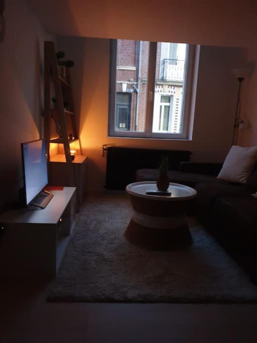 Appartement Marron 5 Stars Amiens