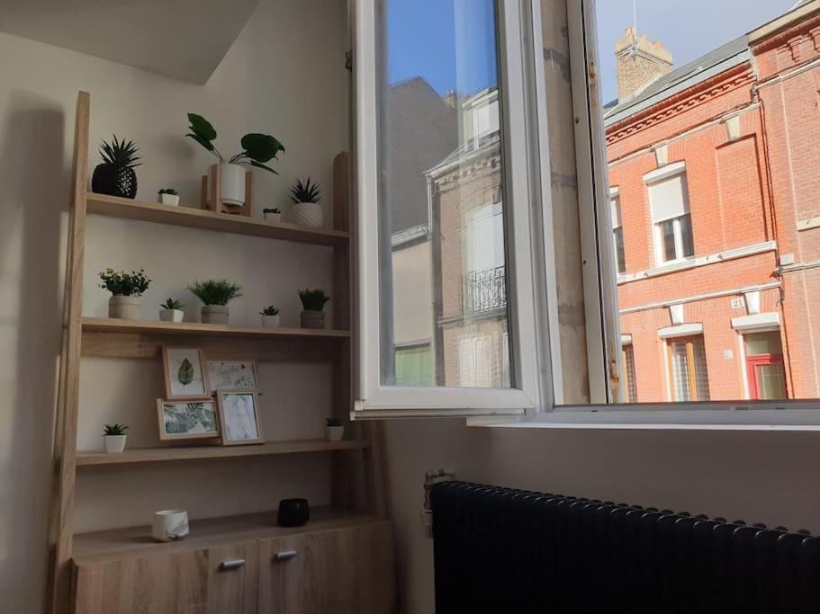Marron 5 Stars Appartement